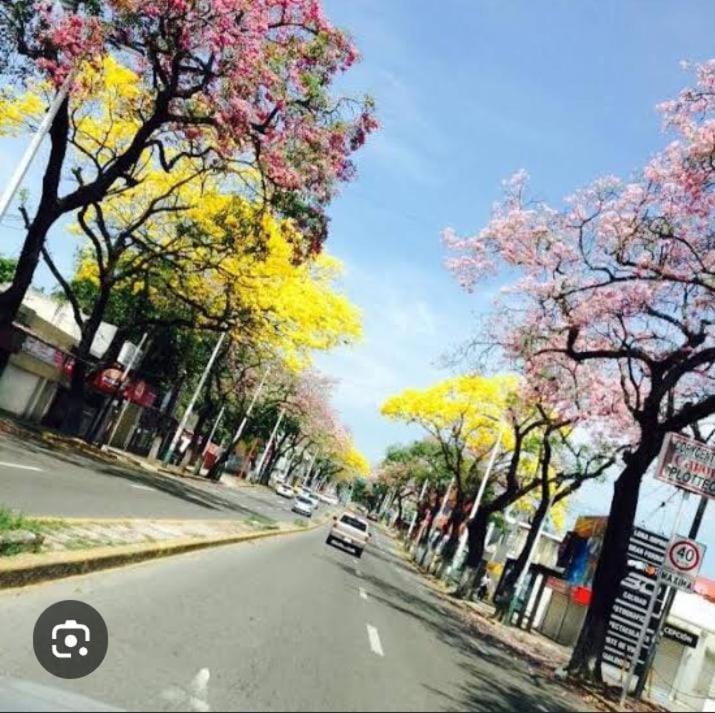 Posada Maria Elvia Villahermosa Buitenkant foto